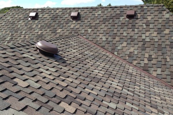 Shingle Roof